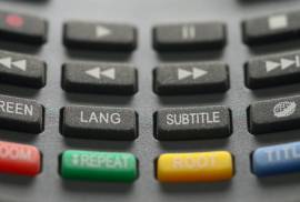 Subtitling Services